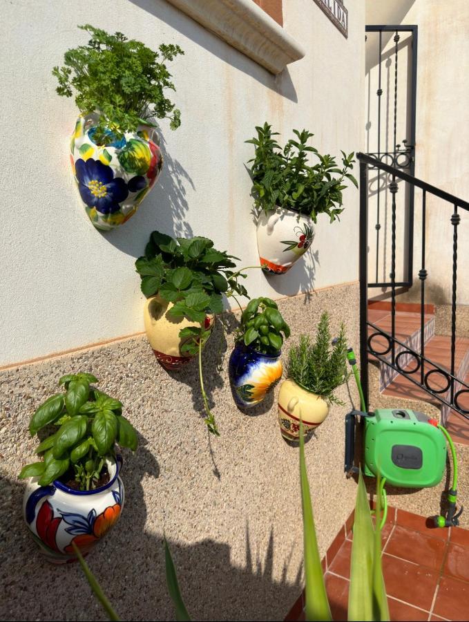 021 Casa Calida - Orihuela Costa Daire Punta Prima  Dış mekan fotoğraf